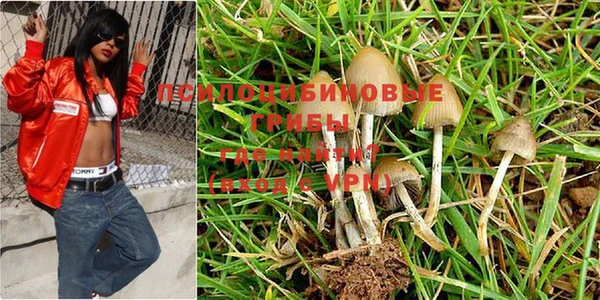 кокс Лагань